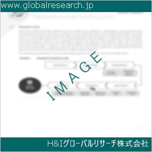 グローバルリサーチ調査資料のイメージ
